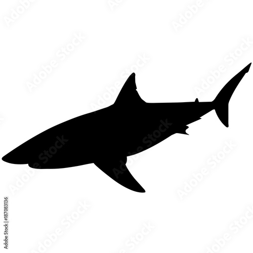 Shark Silhouette Vector Graphics