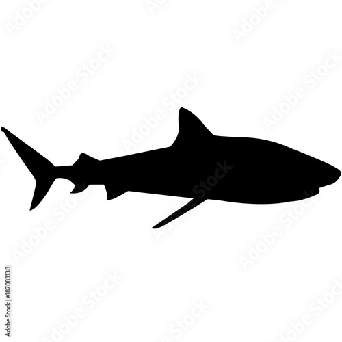 Shark Silhouette Vector Graphics
