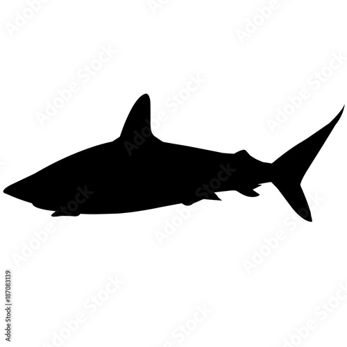 Shark Silhouette Vector Graphics