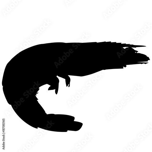 Shrimp Silhouette Vector Graphics