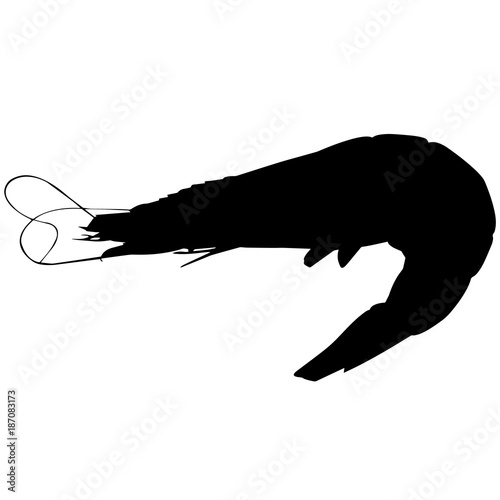 Shrimp Silhouette Vector Graphics