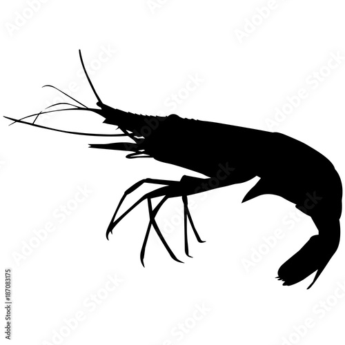 Shrimp Silhouette Vector Graphics