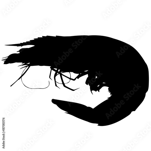 Shrimp Silhouette Vector Graphics