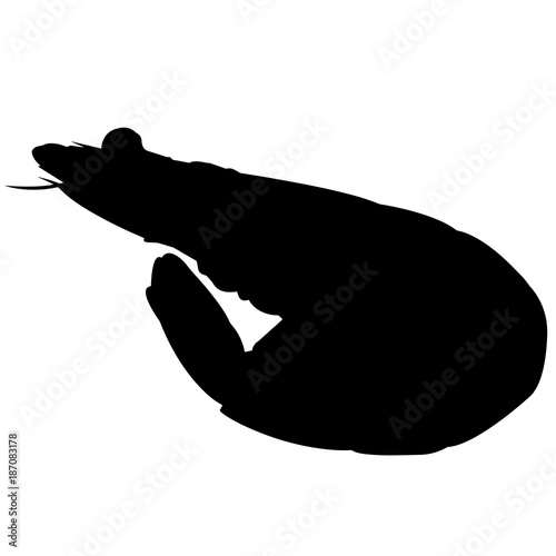 Shrimp Silhouette Vector Graphics