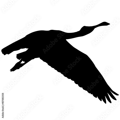 Spoon bill Silhouette Vector Graphics