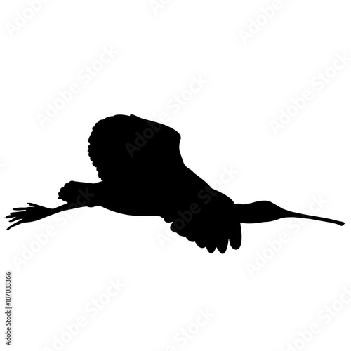 Spoon bill Silhouette Vector Graphics