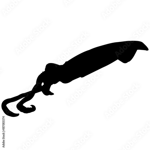 Squid Silhouette Vector Graphics photo