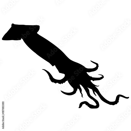 Squid Silhouette Vector Graphics