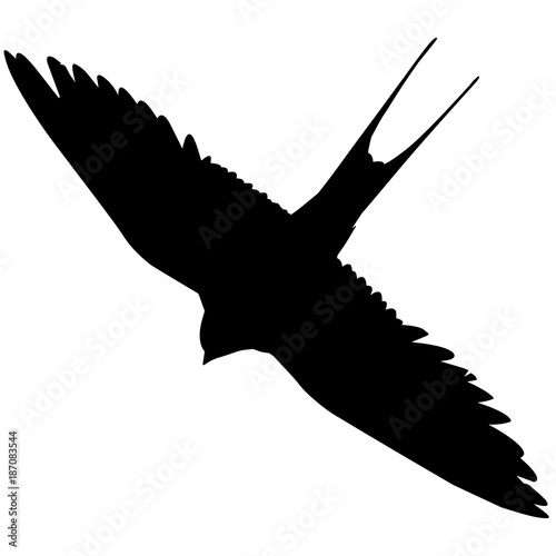 Swallow Silhouette Vector Graphics
