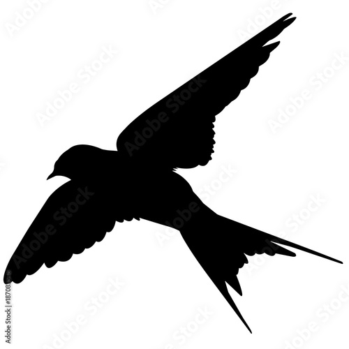 Swallow Silhouette Vector Graphics