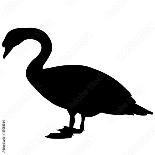 Swan Silhouette Vector Graphics