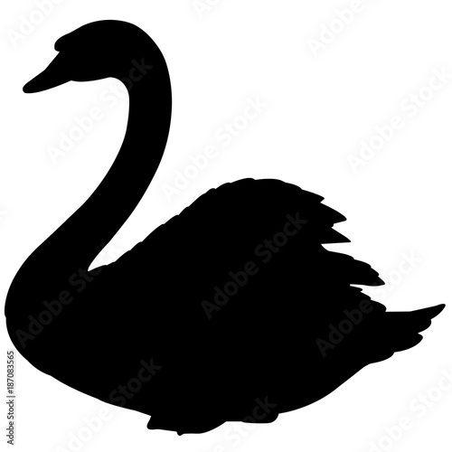 Swan Silhouette Vector Graphics
