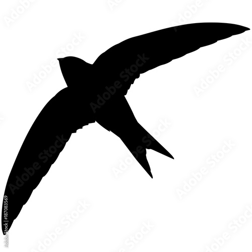Swift Silhouette Vector Graphics