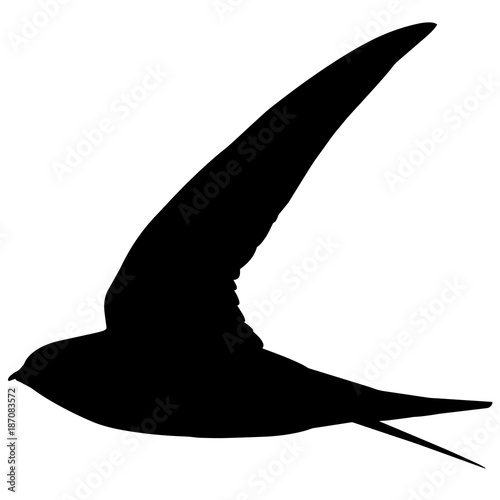 Swift Silhouette Vector Graphics