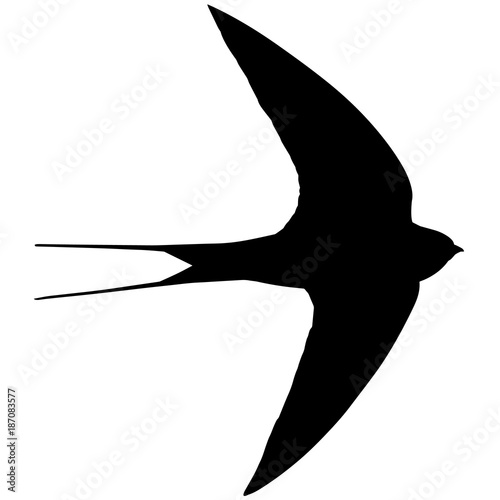 Swift Silhouette Vector Graphics
