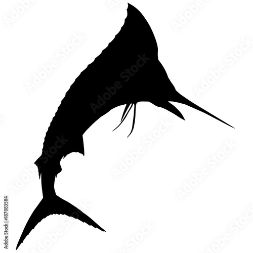 Sword fish Silhouette Vector Graphics