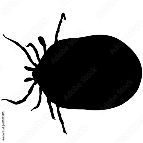 Εκτύπωση καμβά Tick Silhouette Vector Graphics
