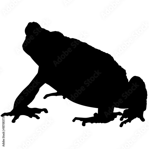Toad Silhouette Vector Graphics