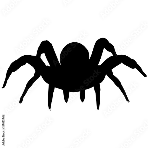 Trapdoor spider Silhouette Vector Graphics
