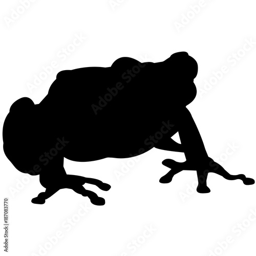 Tree frog Silhouette Vector Graphics