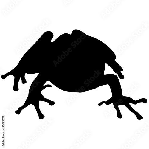 Tree frog Silhouette Vector Graphics