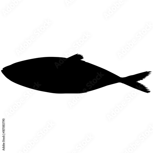 Tuna Silhouette Vector Graphics