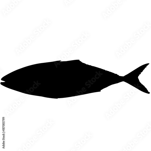 Tuna Silhouette Vector Graphics