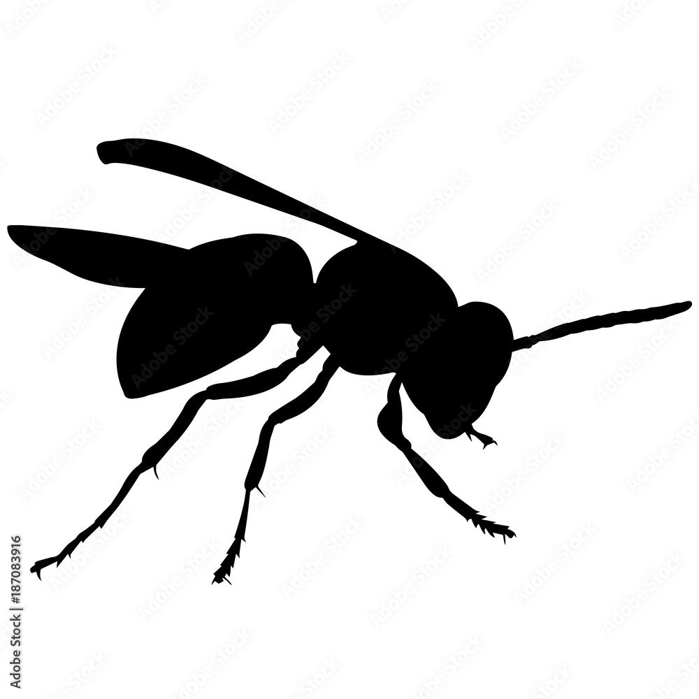 Wasp Silhouette Vector Graphics Stock Vector | Adobe Stock