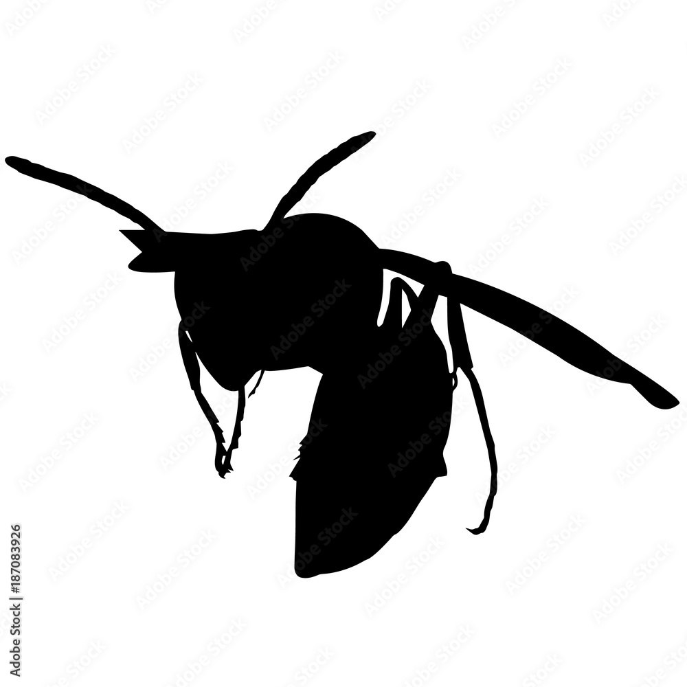 Wasp Silhouette Vector Graphics Stock Vector | Adobe Stock