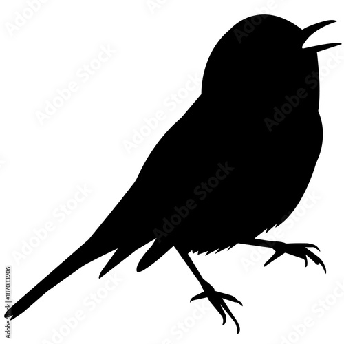Warbler Silhouette Vector Graphics
