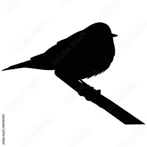 Warbler Silhouette Vector Graphics