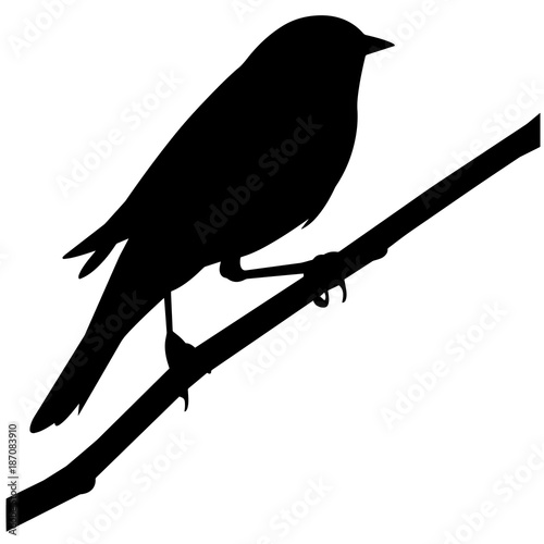 Warbler Silhouette Vector Graphics