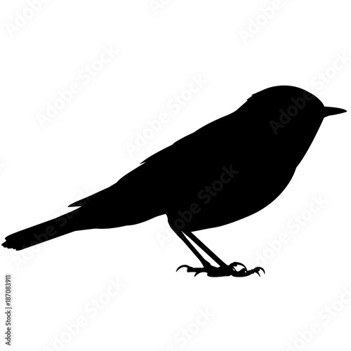 Warbler Silhouette Vector Graphics