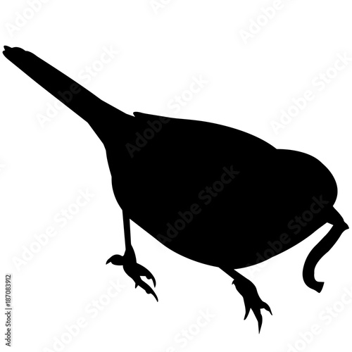 Warbler Silhouette Vector Graphics