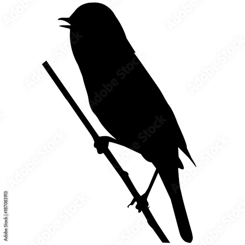 Warbler Silhouette Vector Graphics