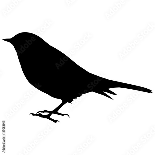 Warbler Silhouette Vector Graphics
