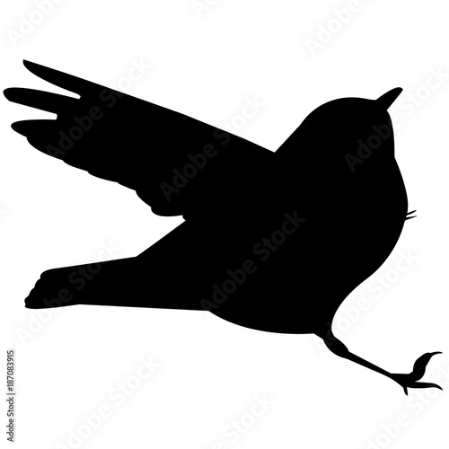 Warbler Silhouette Vector Graphics