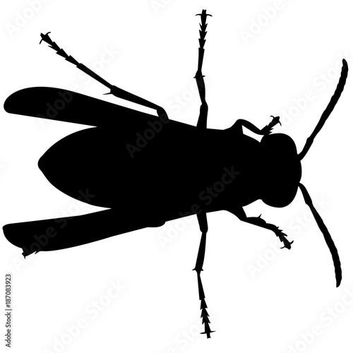 Wasp Silhouette Vector Graphics