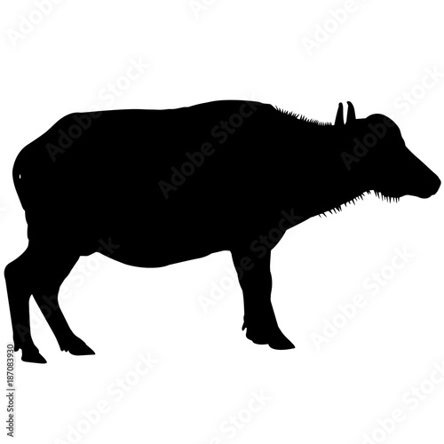 Water buffalo Silhouette Vector Graphics