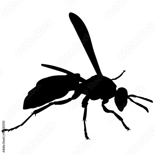 Wasp Silhouette Vector Graphics