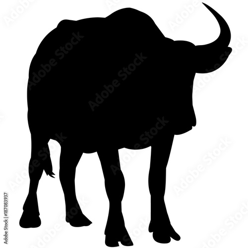 Water buffalo Silhouette Vector Graphics