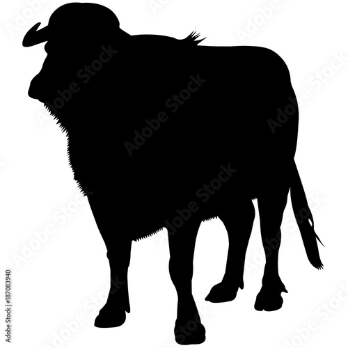 Water buffalo Silhouette Vector Graphics