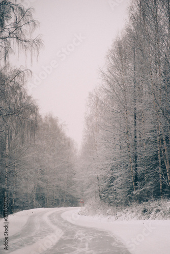 Country road leading among frosted trees