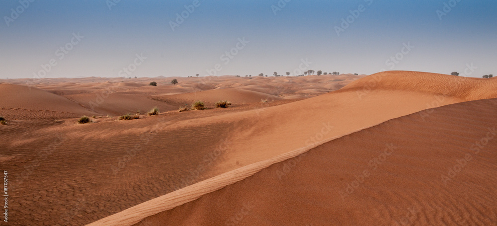 Sand dunes, UAE