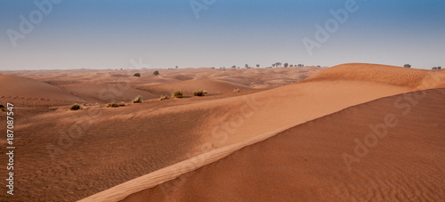 Sand dunes, UAE