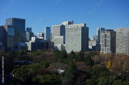 ビルから見える東京の都市風景