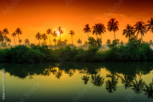 rows of palm trees reflected in a lake at dawn. Tinted.