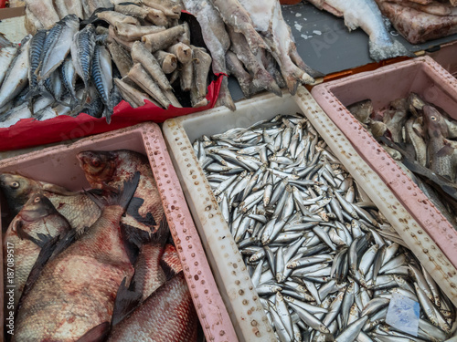 Fish for sale at the market