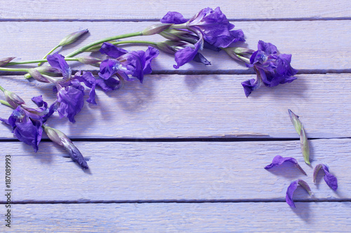 Fototapeta Naklejka Na Ścianę i Meble -  spring flowers on wooden background