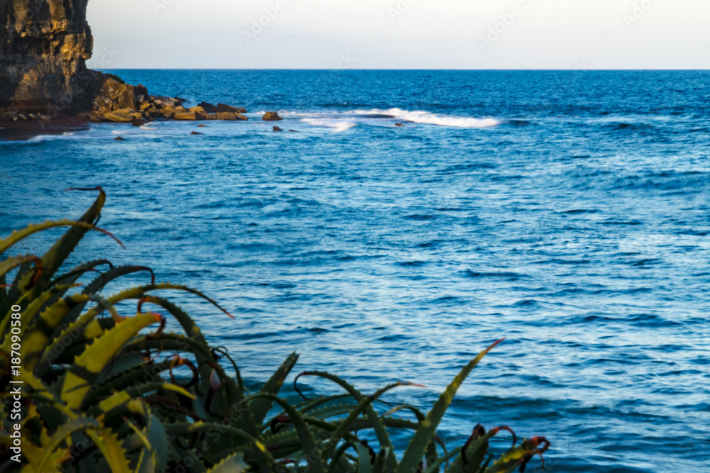 Landscape with sea waves and rocks. Scenic view of Tasman Sea at Mona Vale beach, Sydney northern beaches, Australia.